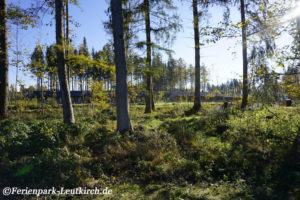 Ferienhaus – Center Parcs Park Allgäu, Foto Nov. 2018