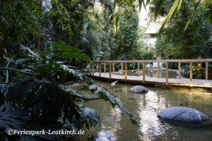 Market Dome am Teich – Center Parcs Park Allgäu, Foto Nov. 2018