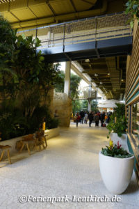 Market Dome innen – Center Parcs Park Allgäu, Foto Nov. 2018