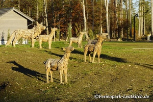 Holztiere im Park – Center Parcs Park Allgäu, Foto Nov. 2018