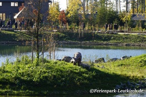 Insel im See – Center Parcs Park Allgäu, Foto Nov. 2018