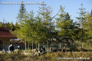 Streichelzoo – Center Parcs Park Allgäu, Foto Nov. 2018