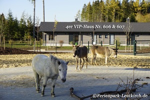 VIP-Haus – Center Parcs Park Allgäu, Foto Nov. 2018