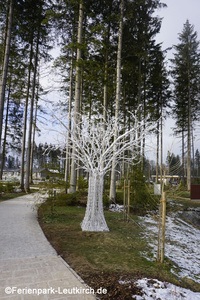 Winterstimmung im Park – Center Parcs Park Allgäu, Foto Dez. 2018