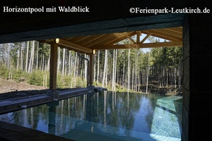 Horizontpool im Deep Nature Spa – Center Parcs Park Allgäu, Foto März 2019