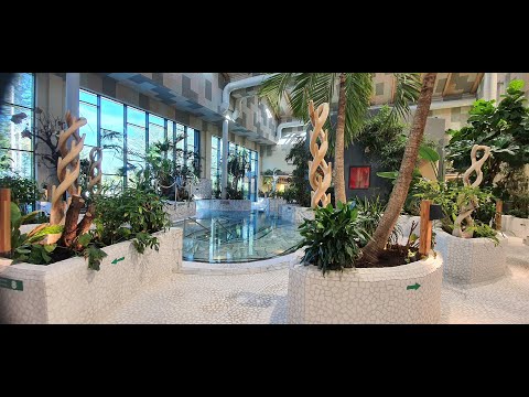 So sieht der Deep Nature Spa von innen aus – Video Center Parcs Allgäu