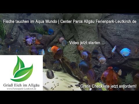 Tauchen mit Fischen im Aqua Mundo – Video Center Parcs Allgäu